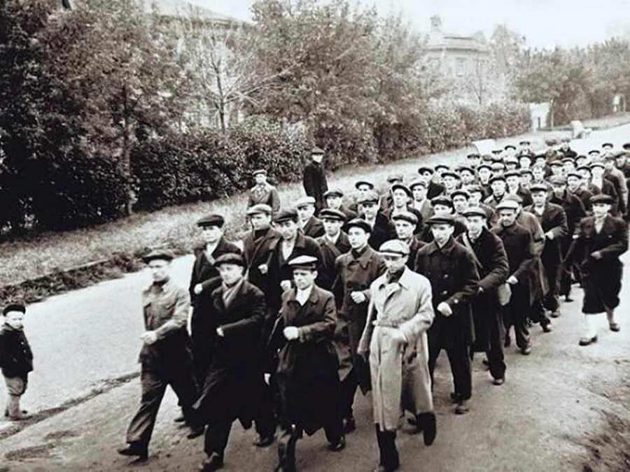 Мобилизация в начале Великой Отечественной войны 1941. Добровольцы 22 июня 1941. Мобилизация РККА 1941. 1 июня в великой отечественной войне