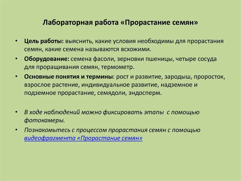 Практическая работа прорастание семян 6 класс