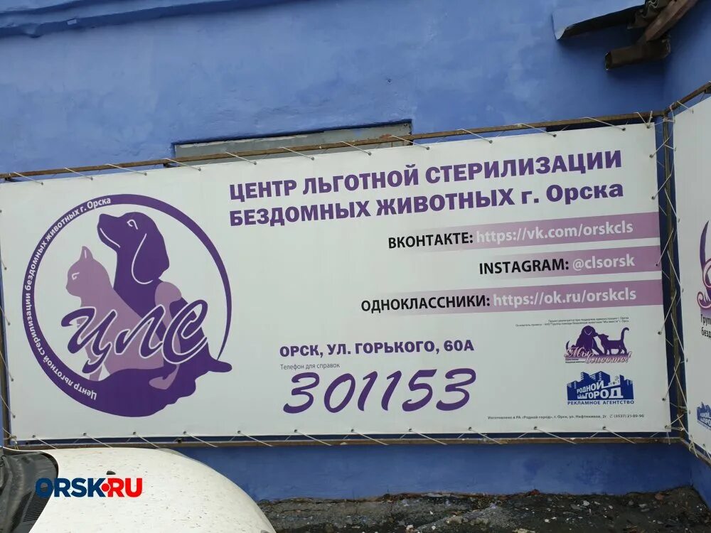 льготная стерилизация. центр льготной. центр льготной. центр льготной стерилизации оренбург. оренбург переулок свободина 7 центр льготной стерилизации животных.