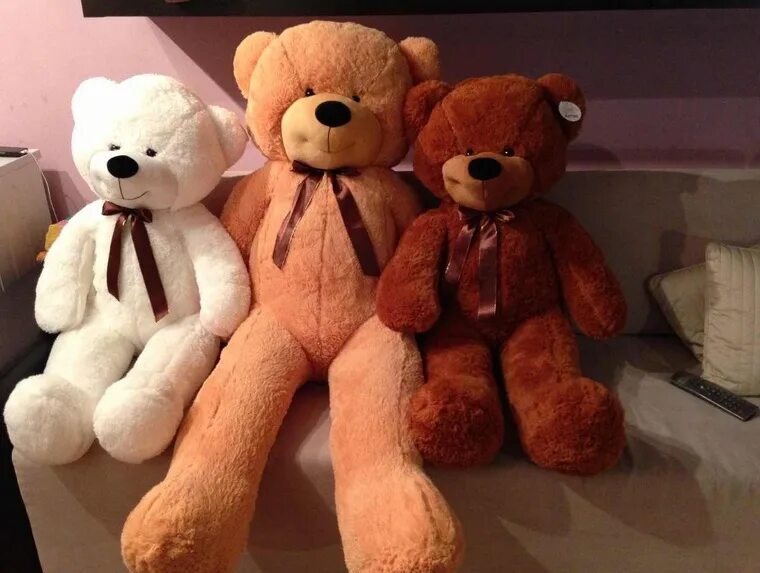 про плюшевых медведей. тедди беар. большой плюшевый медведь. плюшевый медведь. тедди беар.