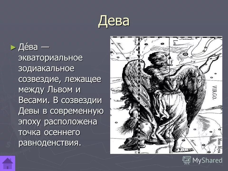 Знак зодиака дева описание. Гороскоп дева на 2022. 14 августа дева. Дева знак зодиака знаки зодиака. Март гороскоп.