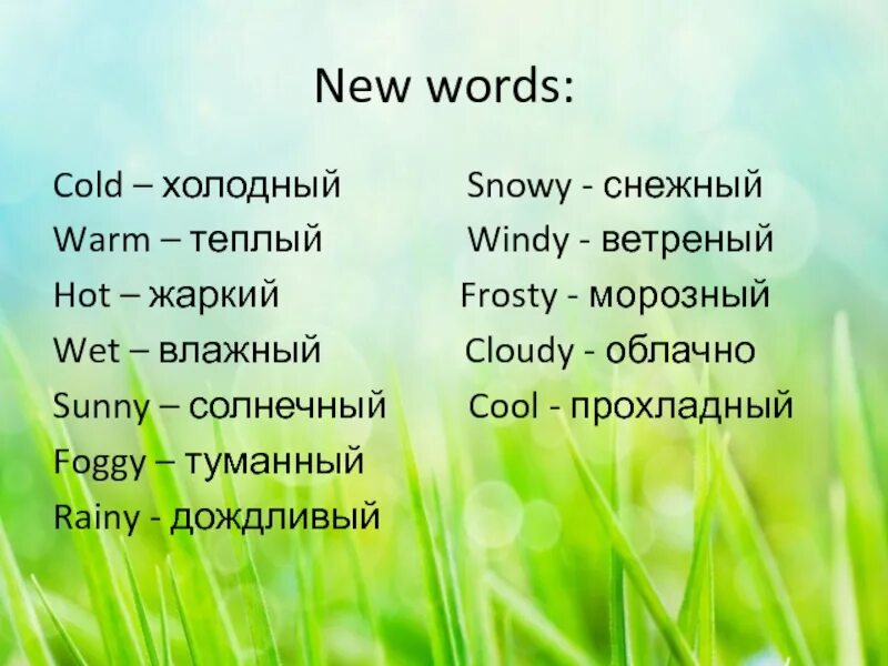 New Words. Following Words the Cold. Английское слово cold