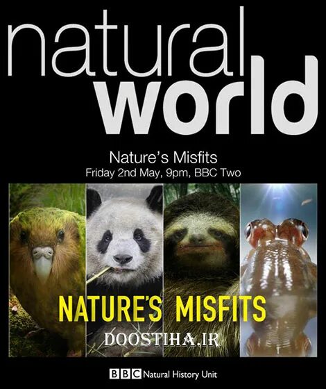 The natural world what does it mean. Natural world. bbc natural history unit.