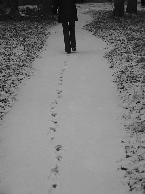 Следы уходящих людей. Следы на снегу. Следы человека на снегу. Уходящие следы. Уходящие следы на снегу.