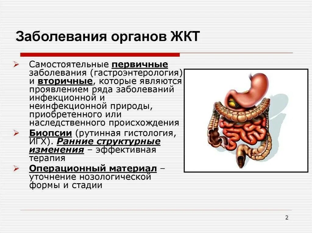 Расстройство желудка и кишечника симптомы и лечение