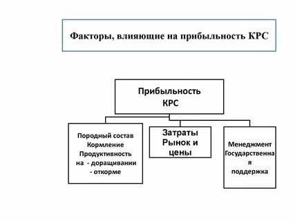 Эффективность производства животноводства