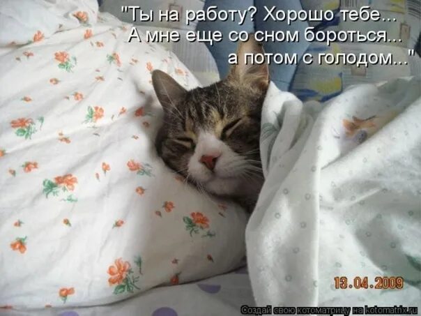 Отлично легла фото