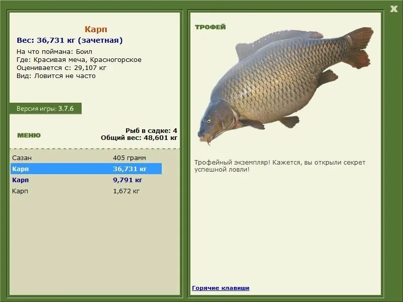 Карп русская рыбалка 3. Русская рыбалка 3 7 6 озеро. Русская рыбалка 3 7 4 озеро Карп кои. Русская рыбалка 3 карпы. Карп трофейный русская рыбалка.