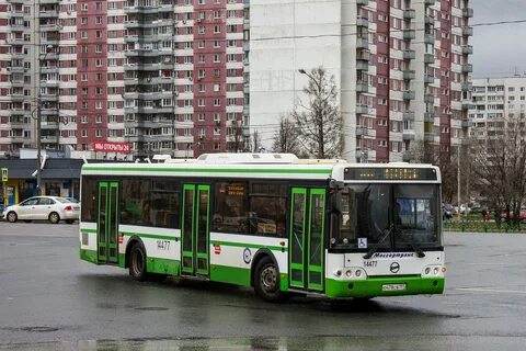 Автобус 5
