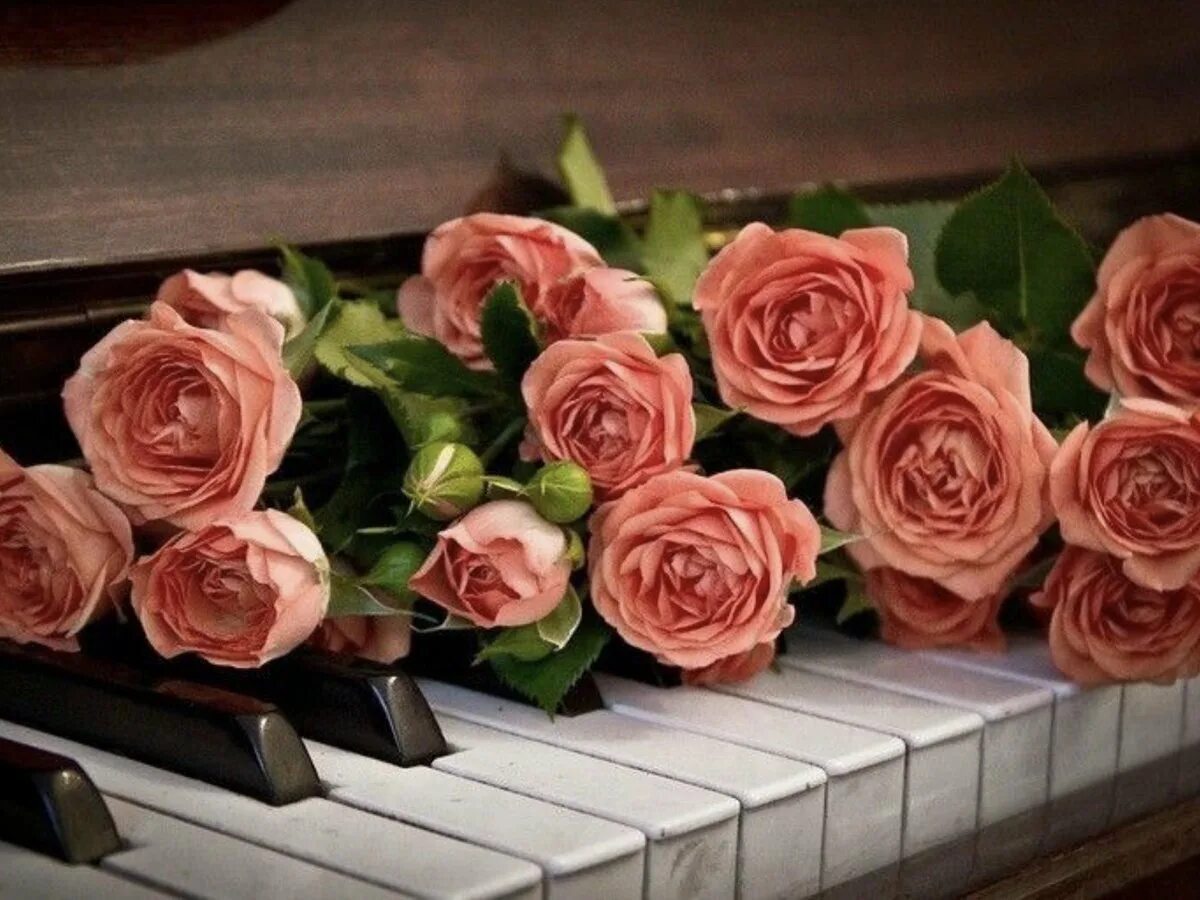 Музыкальная песня с днем рождения женщины. Рояль цветы. Цветы на пианино. Розы на рояле. Роза на пианино.