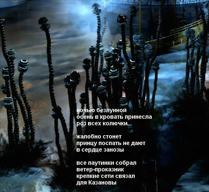 Вся небесная сфера содержит около. Звезды видимые невооруженным. Южная ночь. Безлунная ночь. Ночь безлунна успокоившиеся после ответы впр.