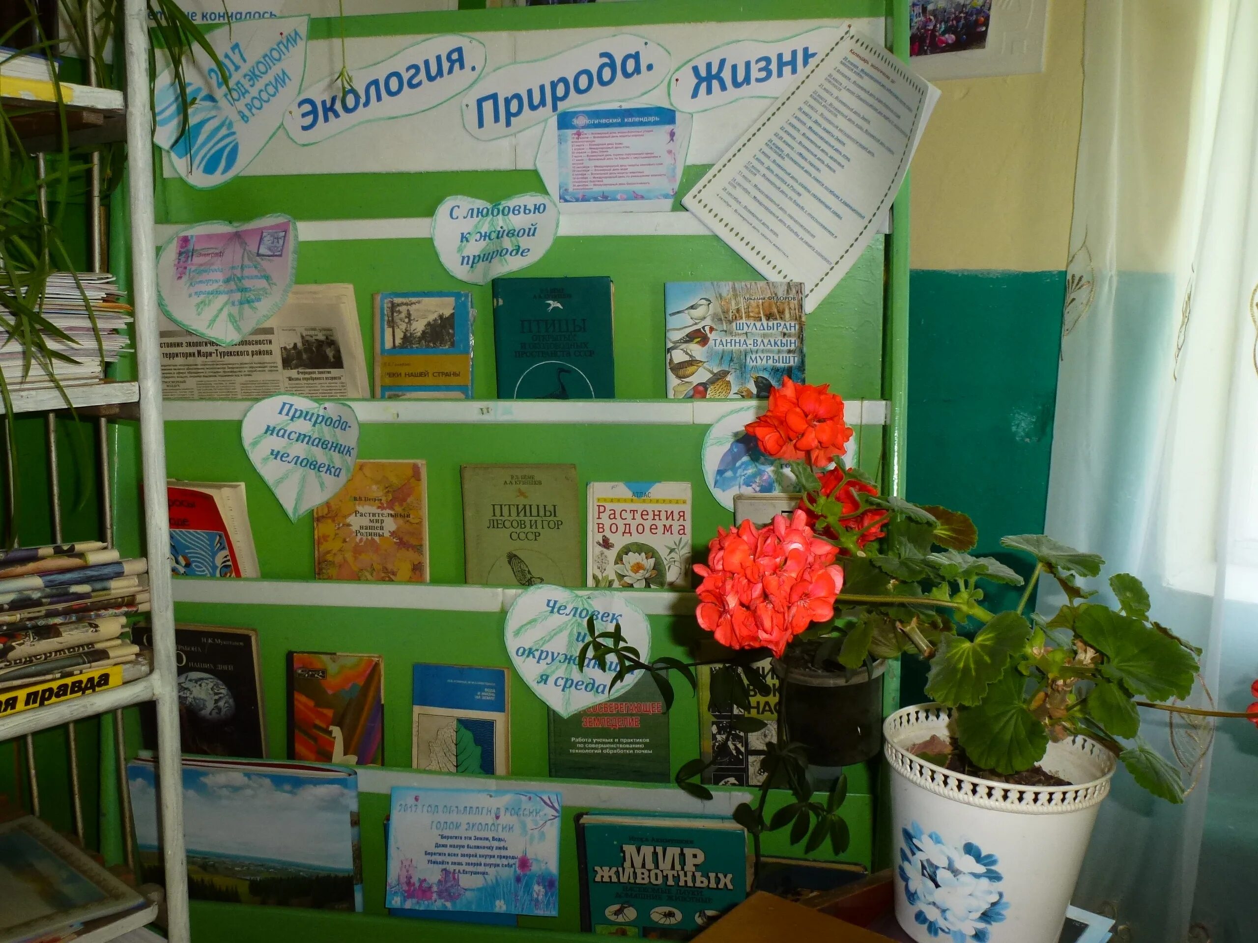 экологическая акция в библиотеке. книжная выставка по экологии в библиотеке. выставки в библиотеке. название книжной выставки по экологии. год экологии мероприятия в библиотеке.