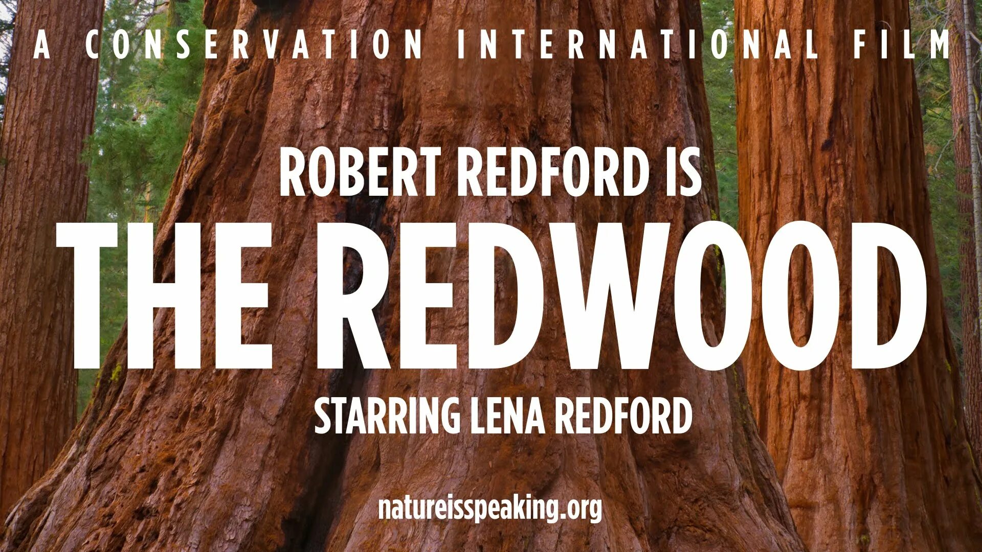 Nature is speaking. A conservation international film текст. a conservation international film субтитры. conservation international’s project nature is speaking.
