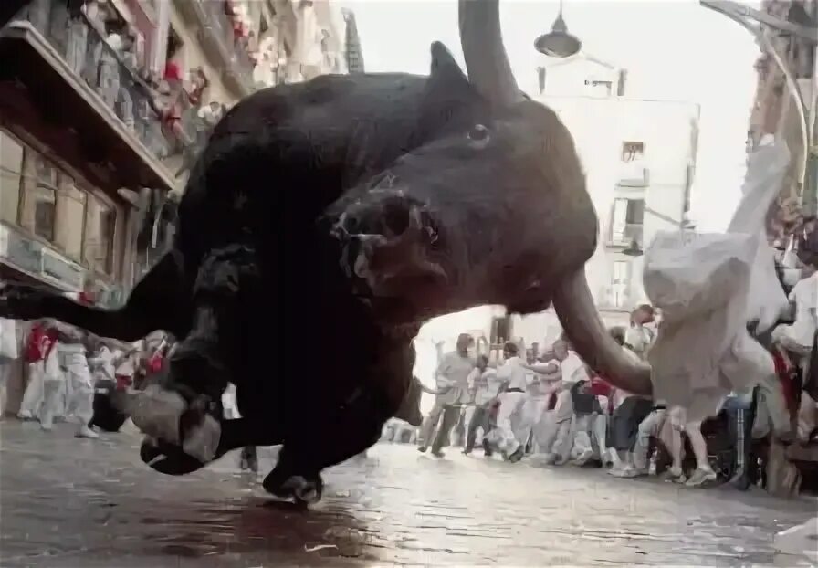 Зодиакальный цикл животных. Года по животным по порядку таблица. После быка идет. После быка идет. Китайский гороскоп животные.