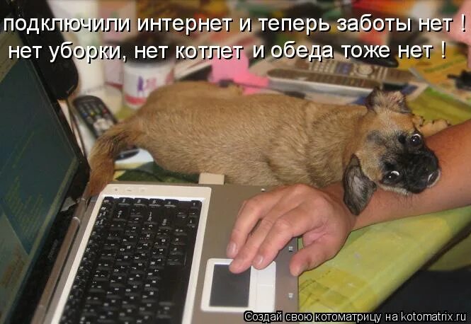 Смотрю и ничего не замечаю