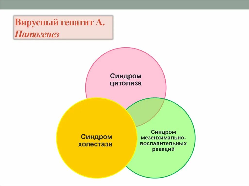 Гепатит а патогенез. Патогенез гепатита в. Патогенез вирусного гепатита в. Вирус гепатита а патогенез. Патогенез гепатита а схематично.