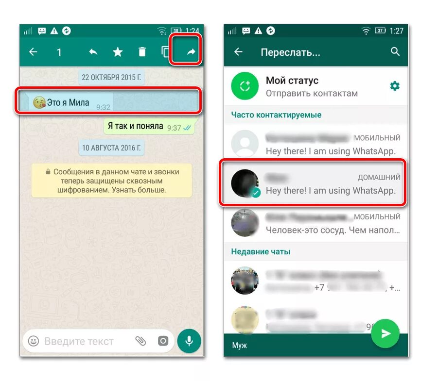Не отправляются сообщения в ватсап. Сообщение в ватсапе. Как переслать сообщение в ватсапе. Сообщение WHATSAPP. Сообщение в вацапе.