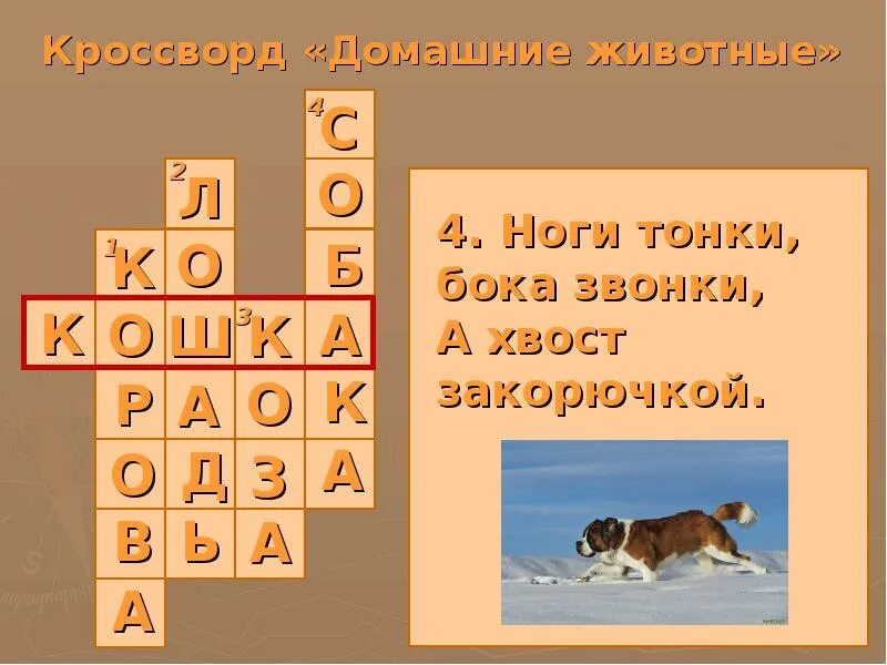 Порода кошек сканворд. Кроссворд про собак. Кроссворд про кошек. Кроссворд про собак для детей. Кроссворд про домашних животных.