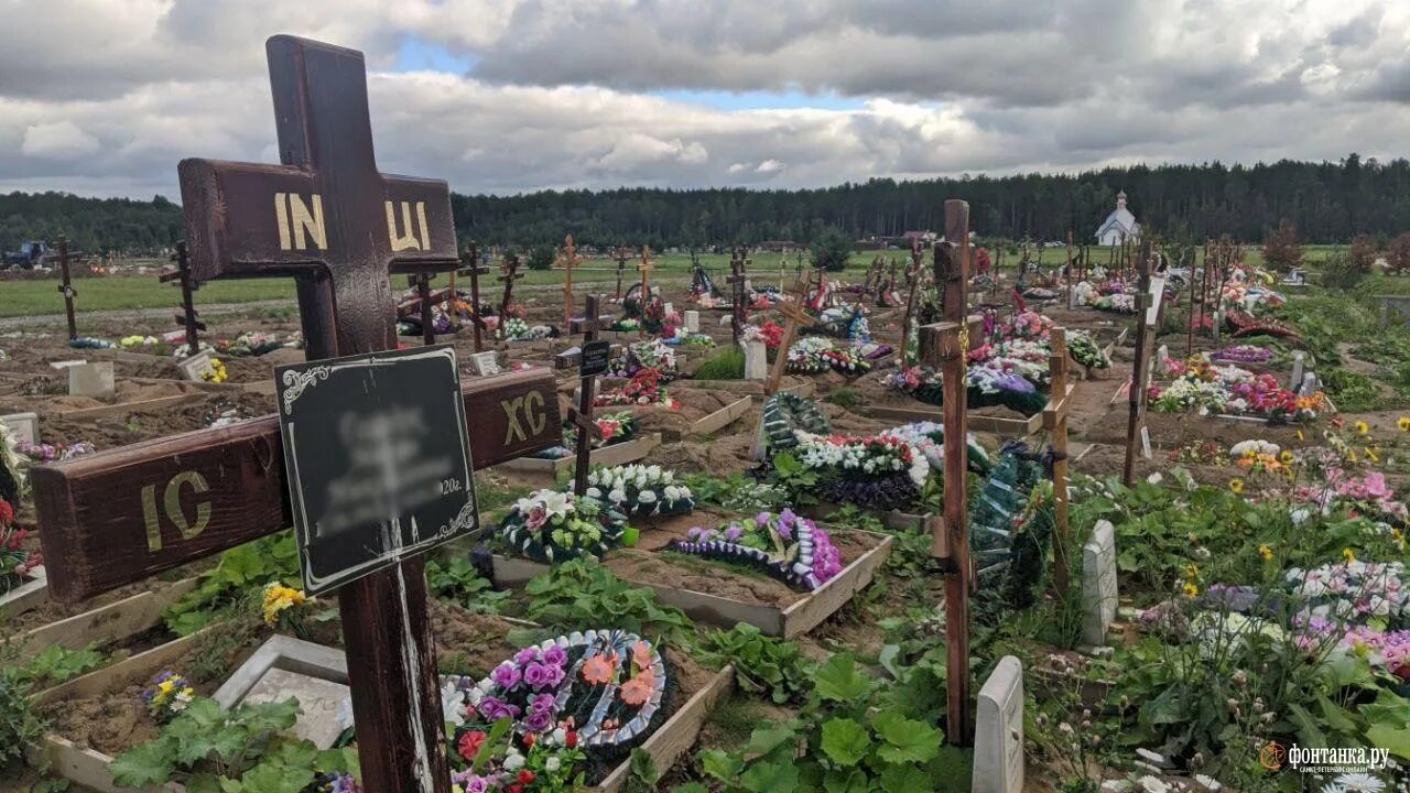 На кладбище отдыхать запрещено. После кладбищенского. После кладбищенского. Кладбище после наводнения. Кладбище вечером.