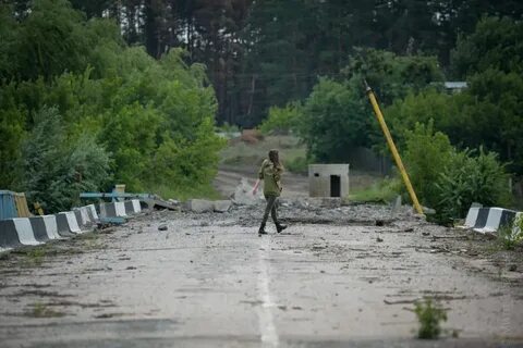 Синьковка харьковская область последние новости