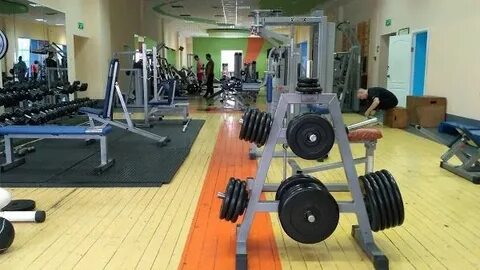 Синяя птица кострома