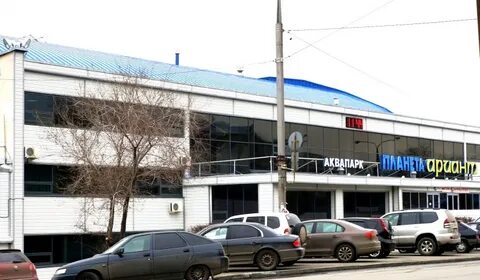 Бассейн ариант