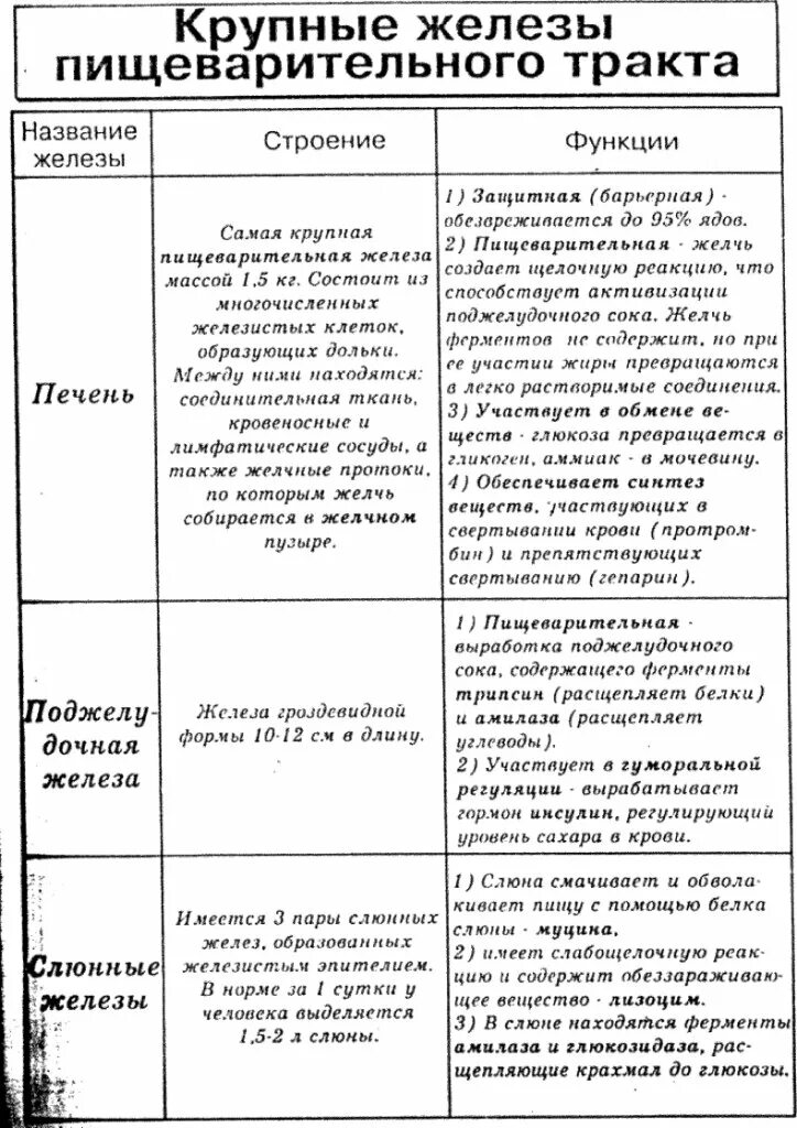 Строение и функции пищеварительной системы таблица. Железы пищеварительной системы строение и функции. Железы пищеварительного тракта таблица. Строение и функции органов пищеварительной системы таблица. Строение и функции пищеварительных желез