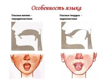 Английское положение языка