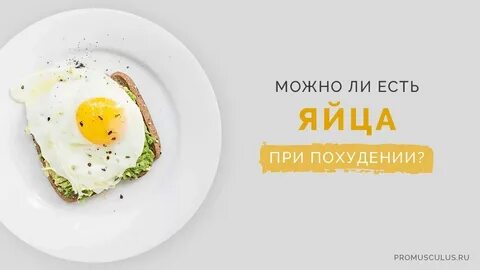 Можно ли есть омлет при похудении