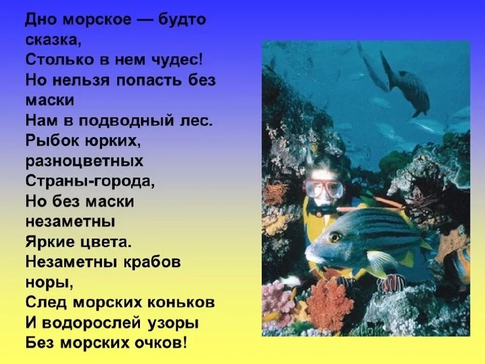 Какие морские соседи. Презентация на тему подводный мир. Детям о подводном мире. Презентация на тему морские жители. Обитатели моря для детей.