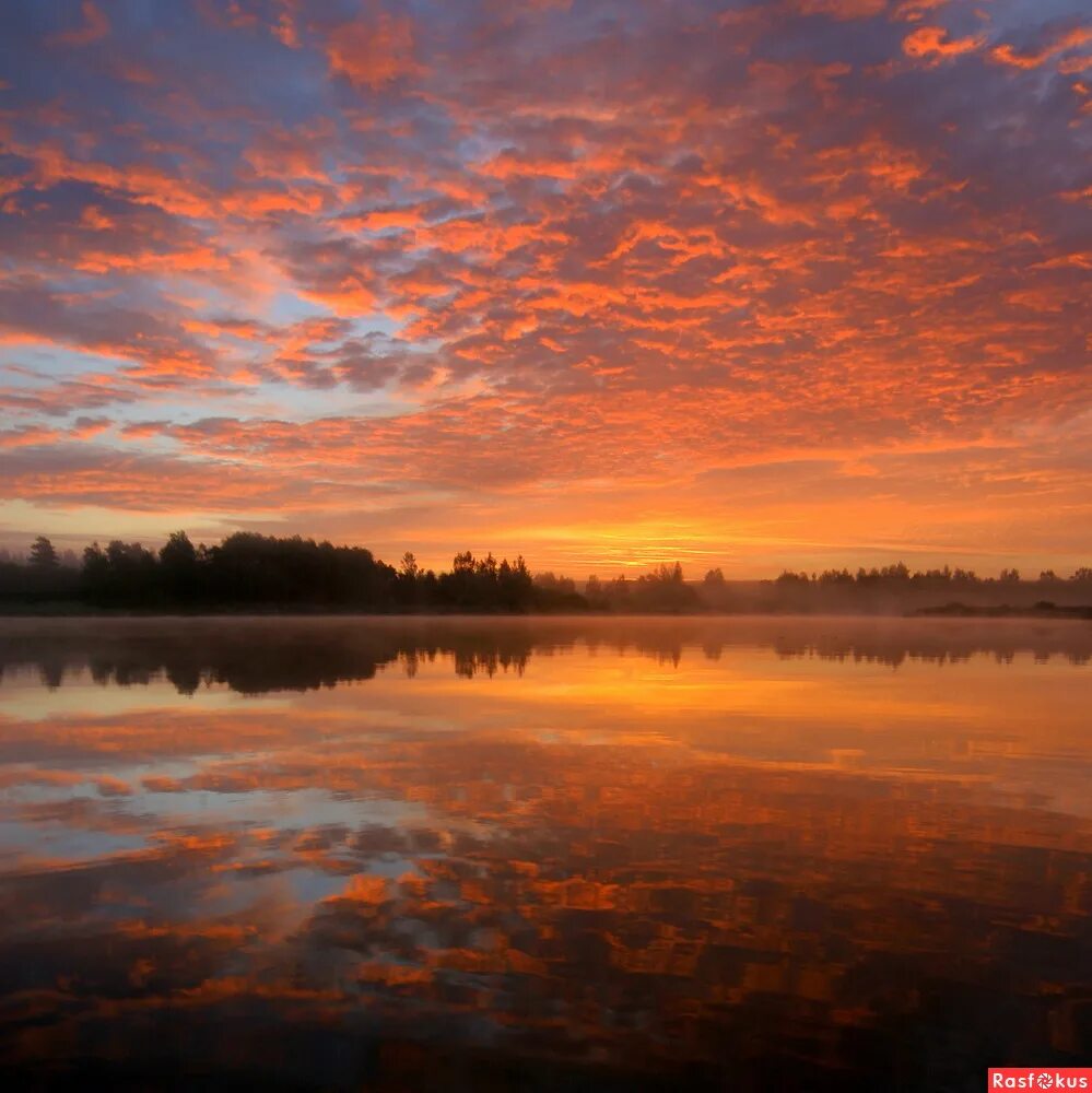 Заря. Зори число. Зори число. Заря. Заря утренняя заря.