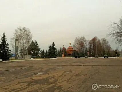 Анонимка тонкино нижегородская