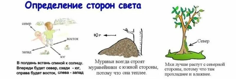 Как определить восток и запад без компаса. Как определяются стороны света. как определить стороны света. методы определения сторон света. как можно определить стороны света.