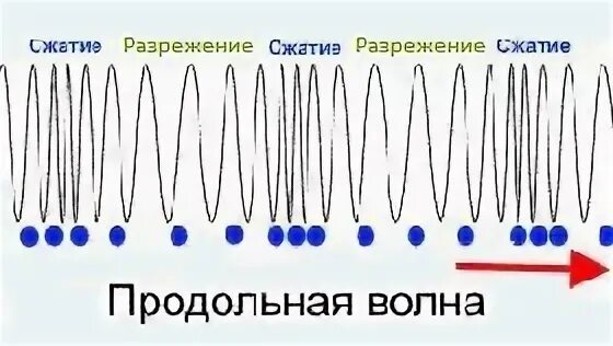 Примеры продольных волн в жизни