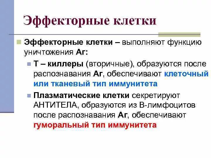 Эффекторные клетки клеточного иммунитета. Эффекторные механизмы врожденного иммунитета. Врожденный клеточный иммунитет. Клеточный адаптивный иммунитет. Эффекторные клетки иммунной системы.