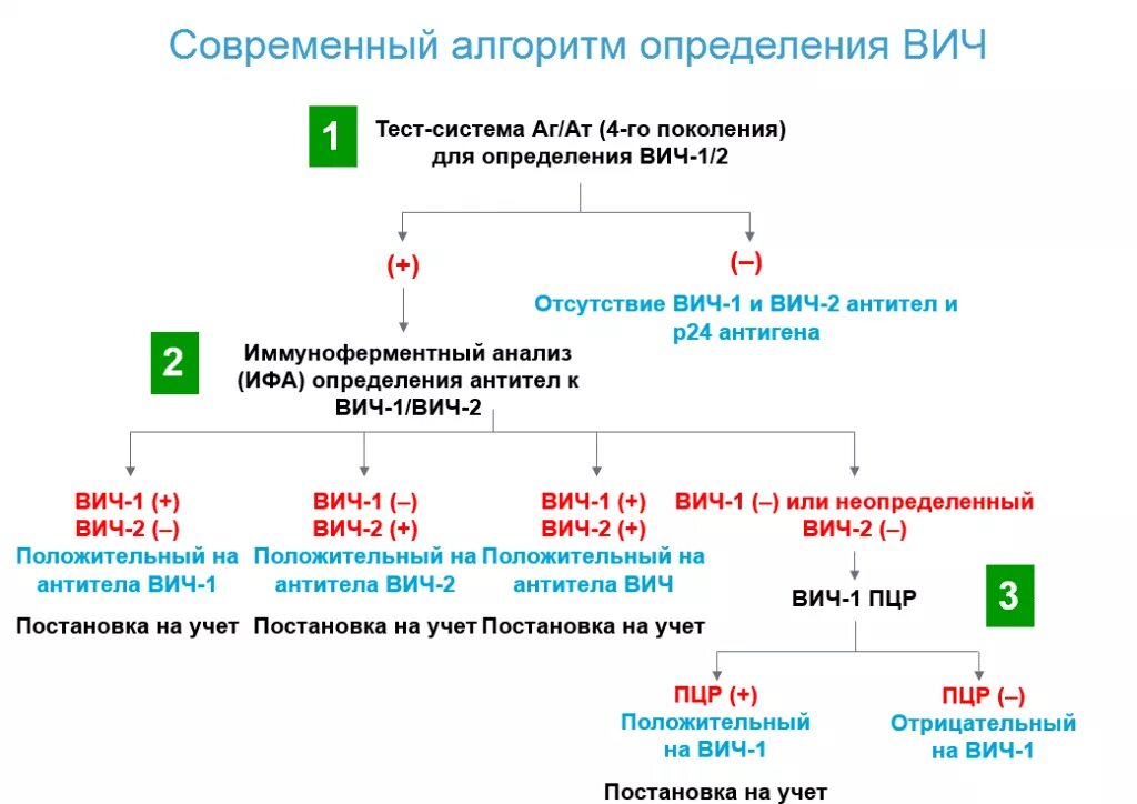 Исследование крови ИФА на ВИЧ. Алгоритм диагностики методом ИФА ВИЧ. Диагностический алгоритм тестирования ВИЧ. Исследование крови в ИФА на ВИЧ инфекцию. Вич сдается натощак или нет