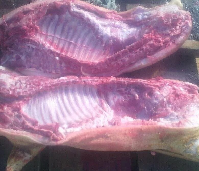 мясо вьетнамских поросят. тушка вьетнамской свиньи. вьетнамская вислобрюхая мясо. свинина. свинина домашняя четвертями.