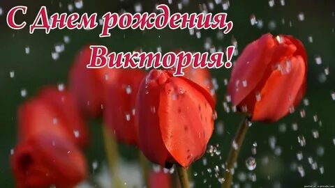 Поздравления с днем вика картинки