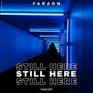 Still here