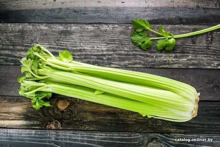 Черенок сельдерея как выглядит. Сельдерей черешковый (стеблевой). Сельдерей в руках. Сельдерей черенки. Сельдерей фото.