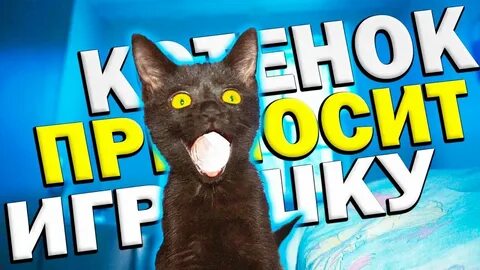 Саня влог