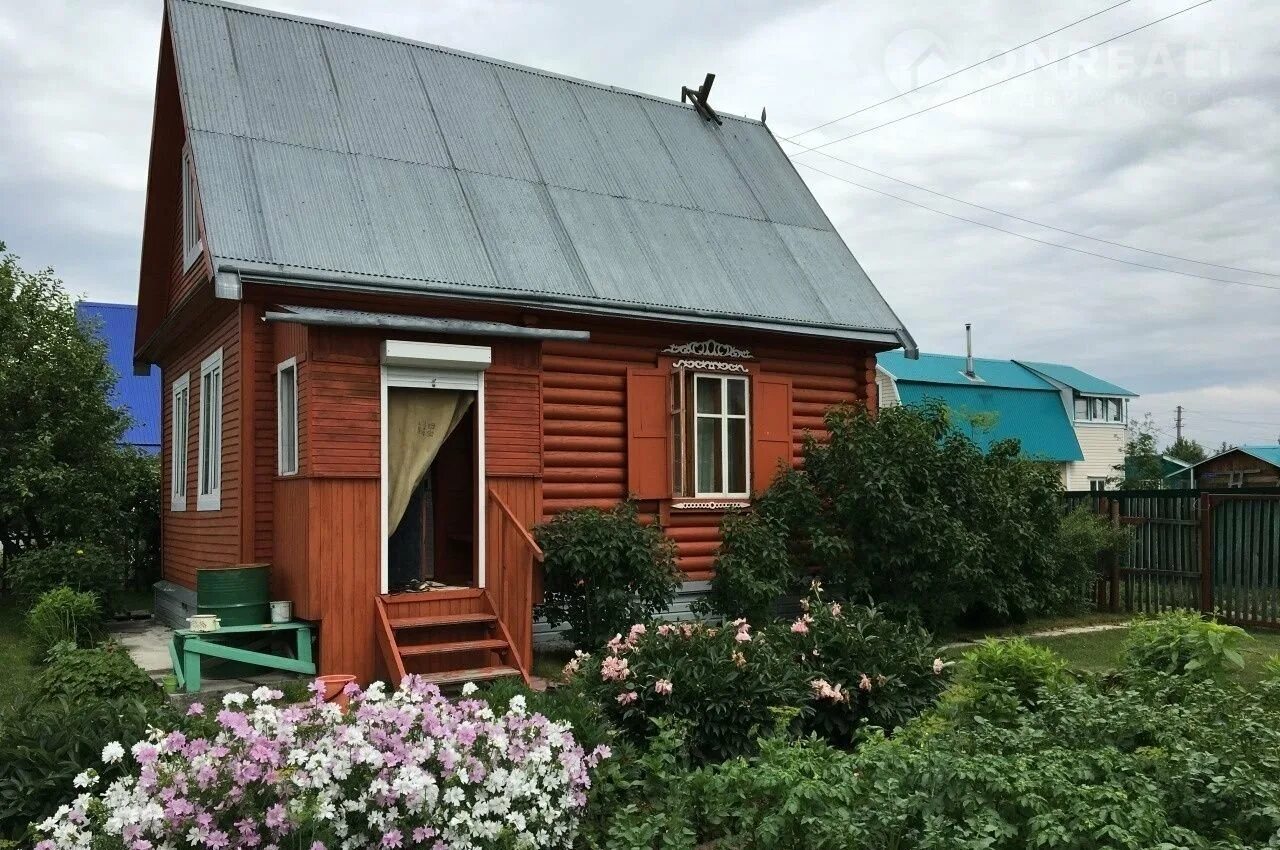 Снт боровинка новосибирская область. Новосибирская область дачи. На даче. Снт природа конаковский район. Дача за маткапитал в новосибирске.