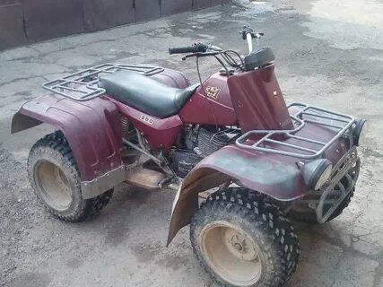 Зид 200 тарпан