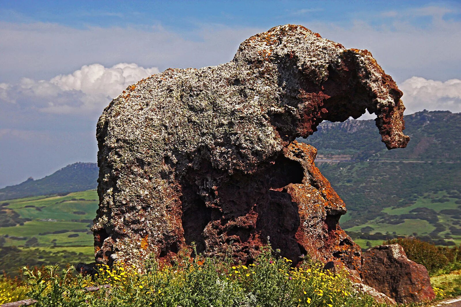 Природа голова