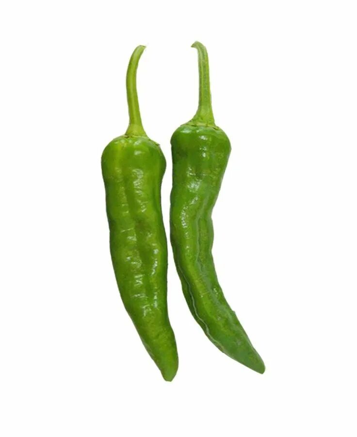 Хот пеппер. Сандия перец. Green Chili. Green Pepper для фотошопа. Green Chili Pepper.