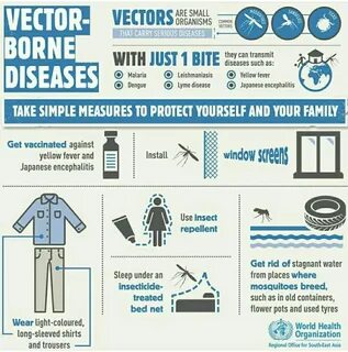 Have you been wondering how people control insects that can cause vector bo...