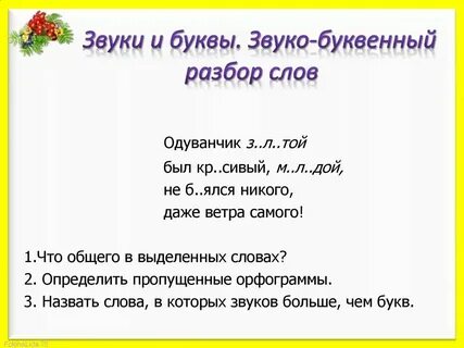 Сколько звуков и букв в слове морковь