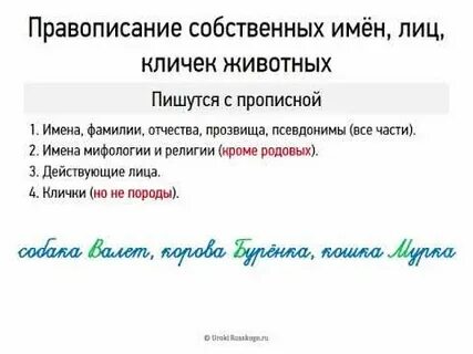 Заглавные буквы клички животных