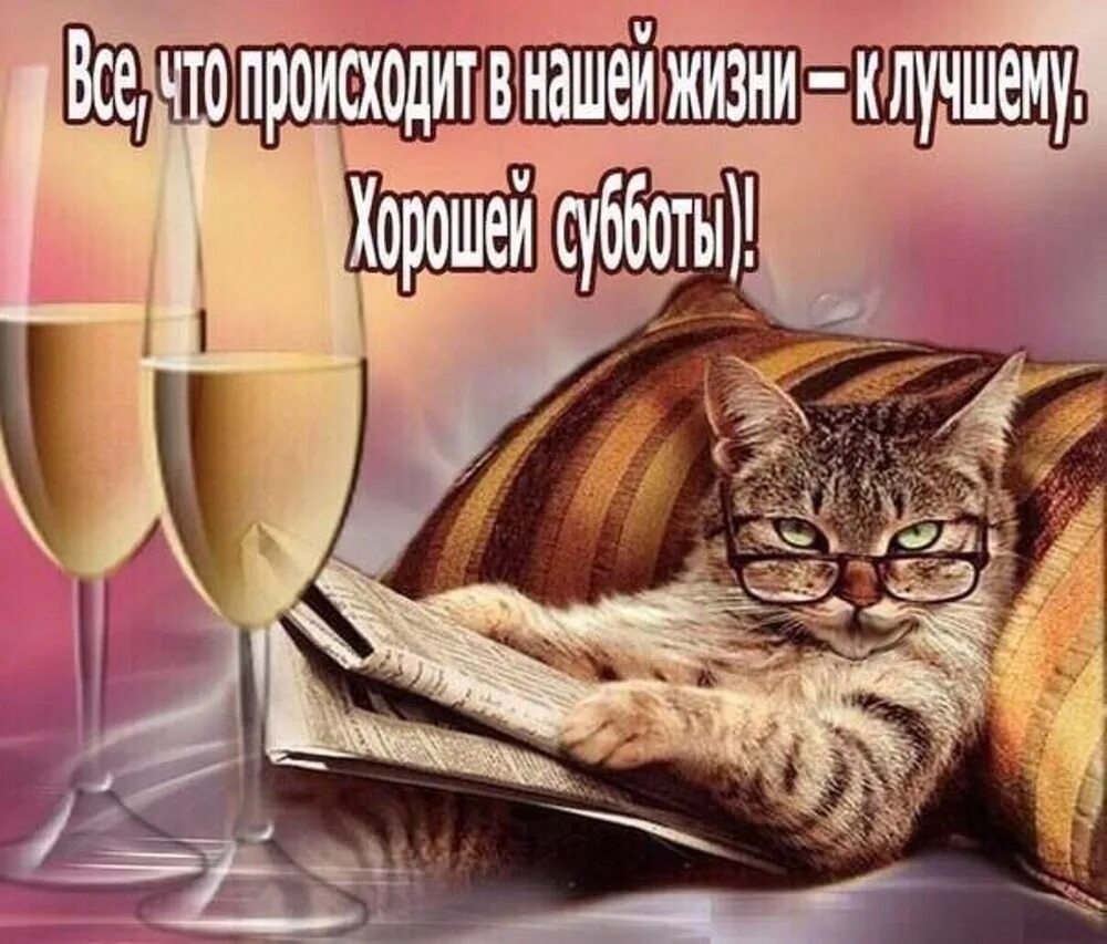 Доброе утро субботы юмор. Хороших выходных и отличного настроения. Хороших выходных и отличного настроения прикольные. Хорошего выходного дня. Хороших выходных открытки.