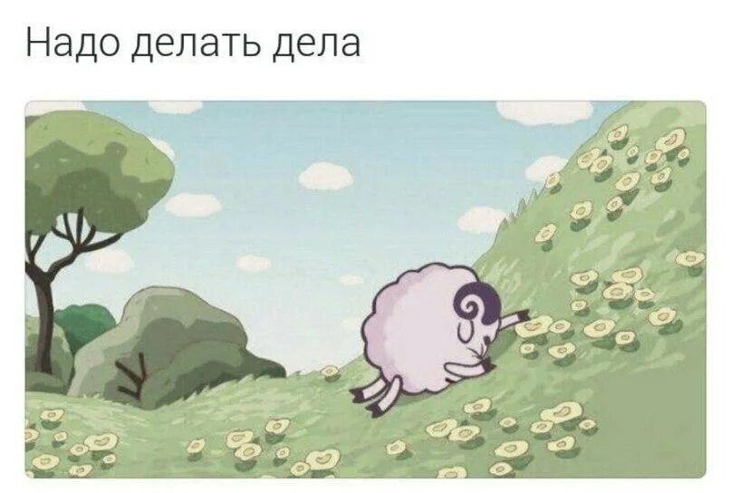Цитаты бараша
